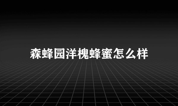 森蜂园洋槐蜂蜜怎么样