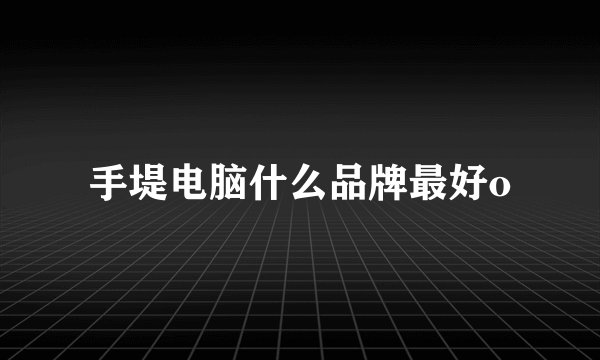手堤电脑什么品牌最好o