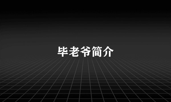 毕老爷简介