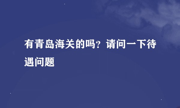 有青岛海关的吗？请问一下待遇问题