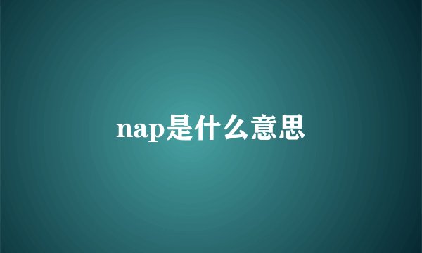 nap是什么意思