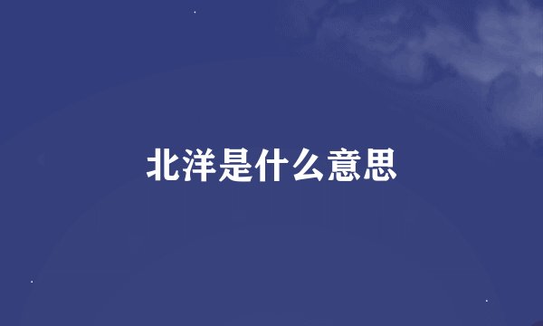 北洋是什么意思