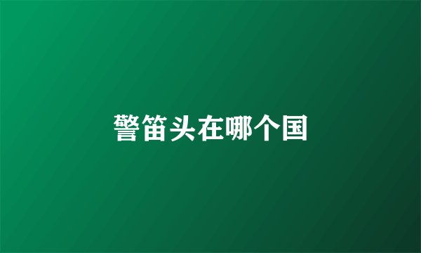警笛头在哪个国