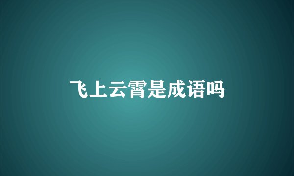飞上云霄是成语吗