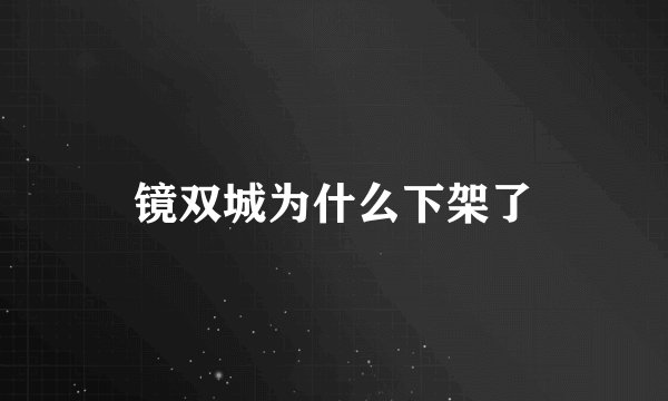 镜双城为什么下架了