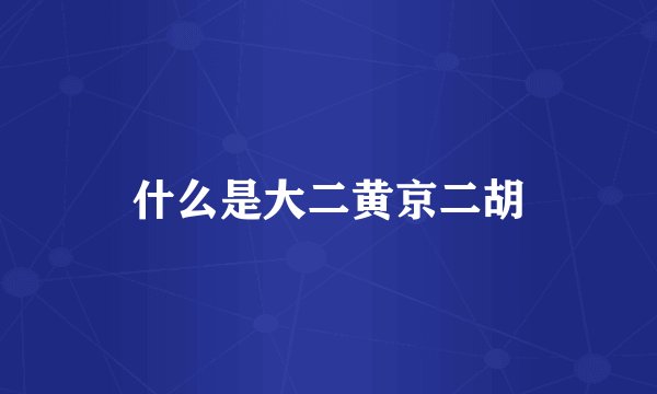 什么是大二黄京二胡