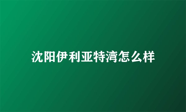 沈阳伊利亚特湾怎么样
