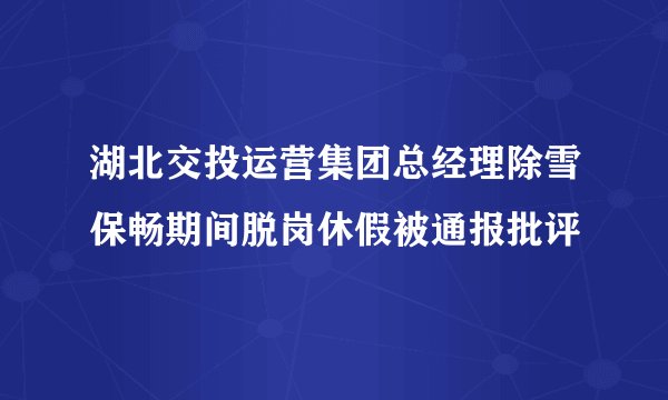 湖北交投运营集团总经理除雪保畅期间脱岗休假被通报批评