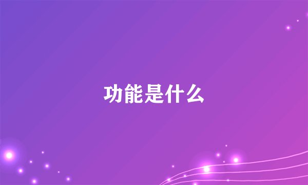 功能是什么