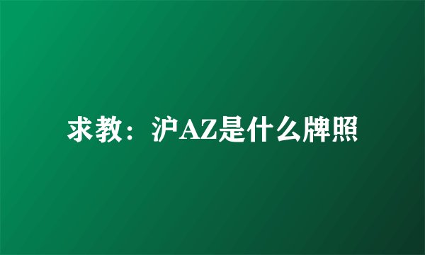 求教：沪AZ是什么牌照