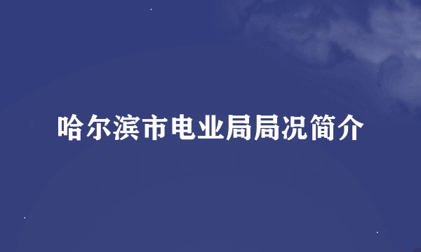 哈尔滨市电业局局况简介