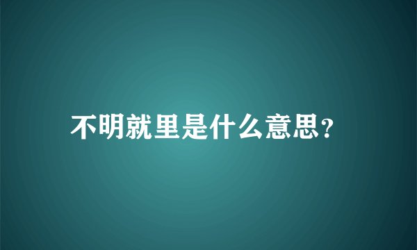 不明就里是什么意思？