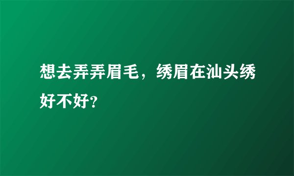 想去弄弄眉毛，绣眉在汕头绣好不好？
