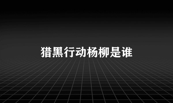 猎黑行动杨柳是谁