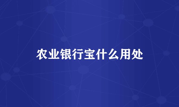 农业银行宝什么用处