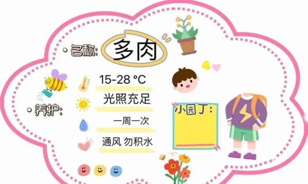棒的幼儿园动植物角植物名称牌、可打印直接使用！看过的园长幼师都收藏了！