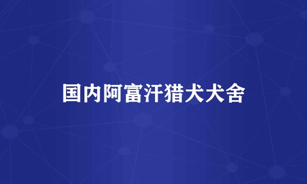 国内阿富汗猎犬犬舍