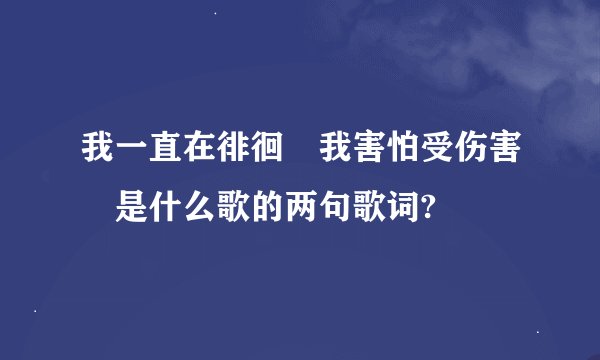 我一直在徘徊 我害怕受伤害 是什么歌的两句歌词?