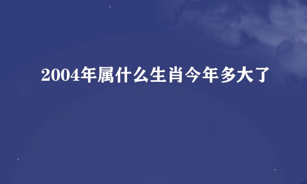 2004年属什么生肖今年多大了