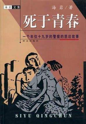 死于青春的小说评价
