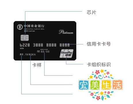 农行信用卡有效期怎么看