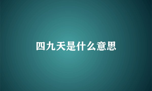 四九天是什么意思