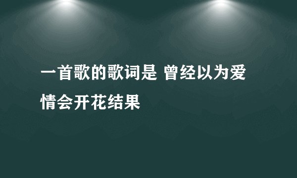 一首歌的歌词是 曾经以为爱情会开花结果