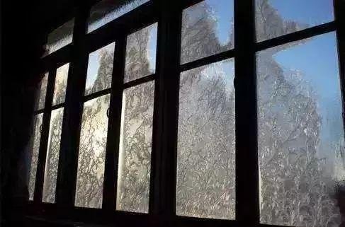 窗户上的冰花像什么呢？