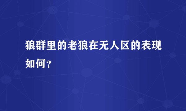 狼群里的老狼在无人区的表现如何？