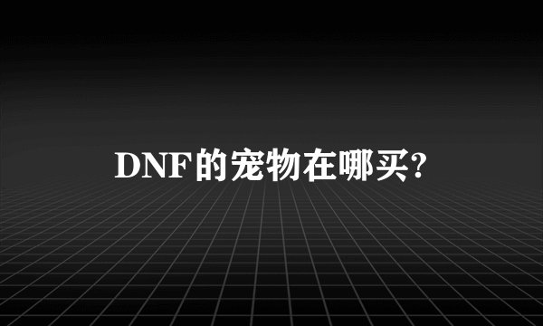 DNF的宠物在哪买?