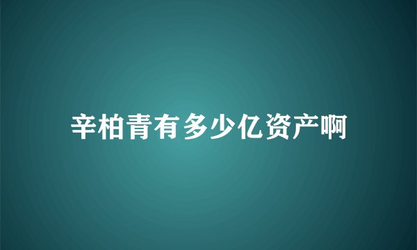 辛柏青有多少亿资产啊