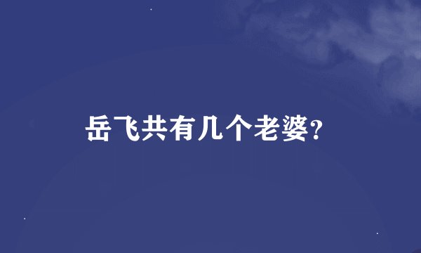 岳飞共有几个老婆？