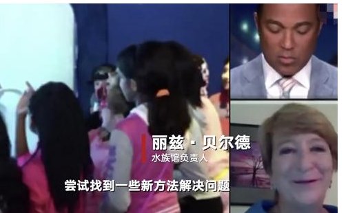 资金告急许愿池救急,网友却称这种行为不正当?