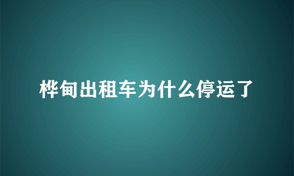 桦甸出租车为什么停运了