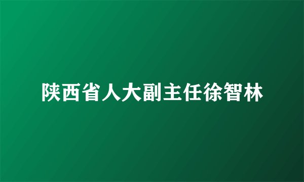 陕西省人大副主任徐智林
