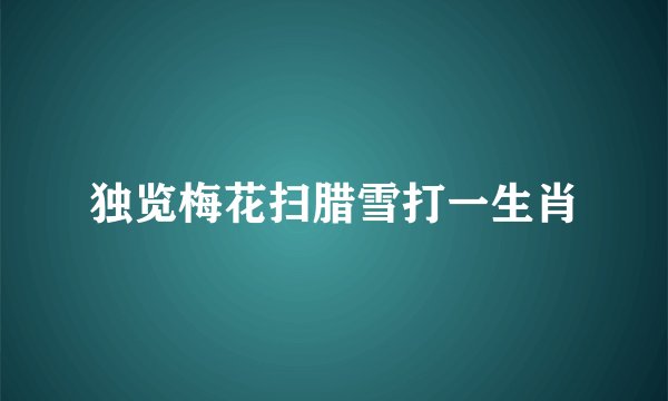 独览梅花扫腊雪打一生肖