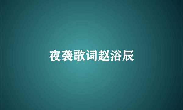 夜袭歌词赵浴辰