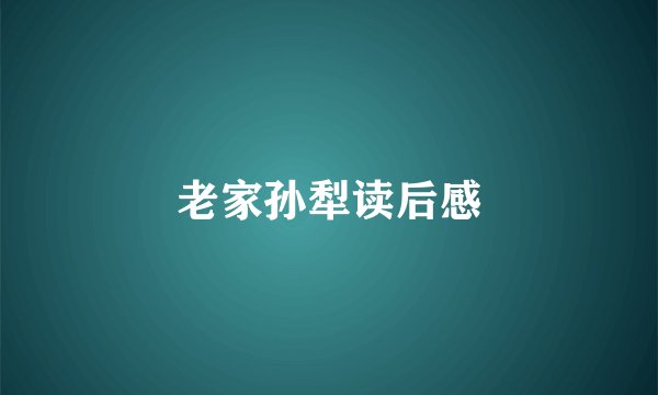 老家孙犁读后感