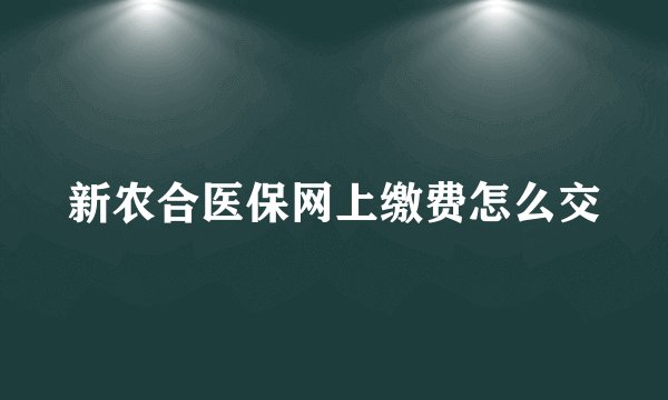 新农合医保网上缴费怎么交