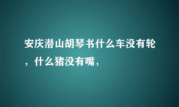安庆潜山胡琴书什么车没有轮，什么猪没有嘴，
