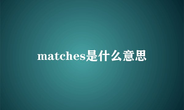 matches是什么意思