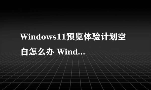 Windows11预览体验计划空白怎么办 Windows11预览体验计划空白处理方法