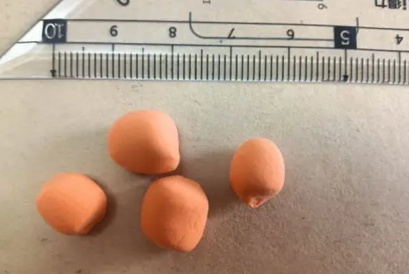 二年级语文手工怎么做