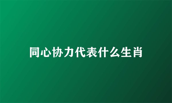 同心协力代表什么生肖