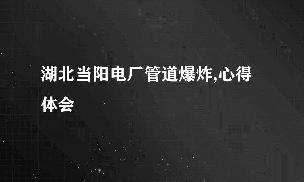 湖北当阳电厂管道爆炸,心得体会