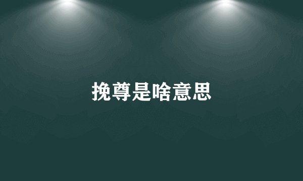 挽尊是啥意思
