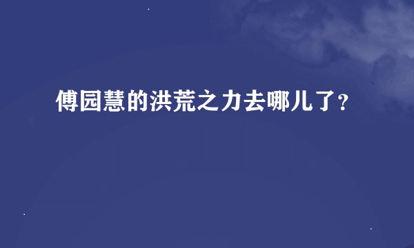傅园慧的洪荒之力去哪儿了？