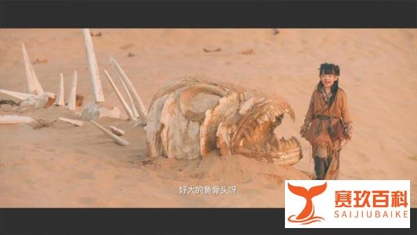 齐天大圣·万妖之城|心动是空 色相亦是空