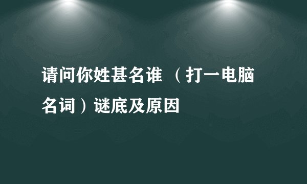 请问你姓甚名谁 （打一电脑名词）谜底及原因