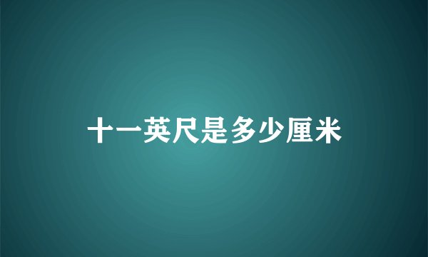 十一英尺是多少厘米